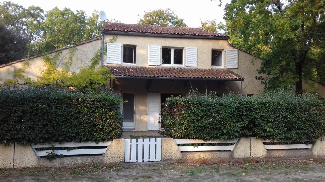Appartement Soulac Sur Mer A 500 M De La Plage N 5 Luaran gambar