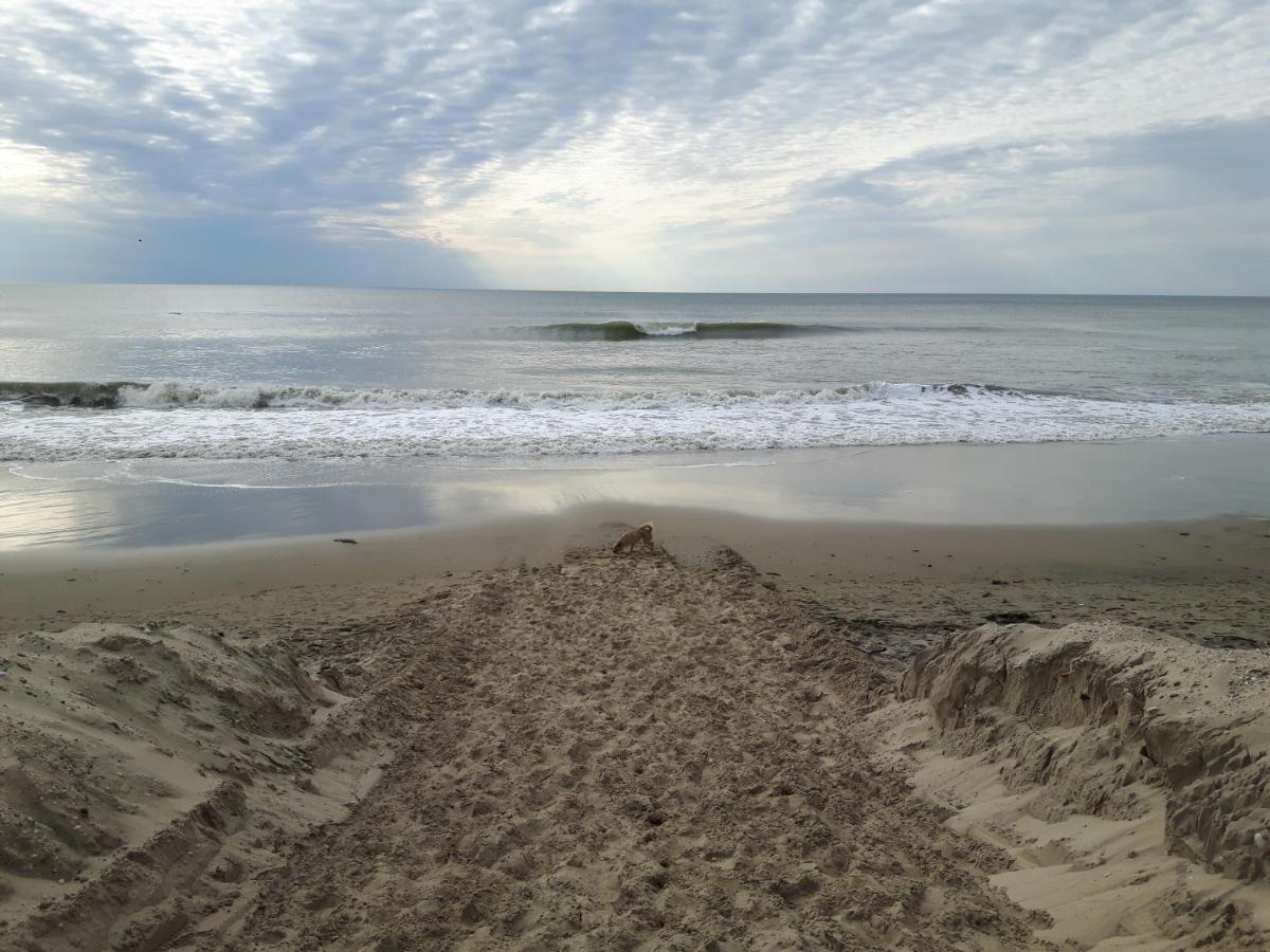 Appartement Soulac Sur Mer A 500 M De La Plage N 5 Luaran gambar